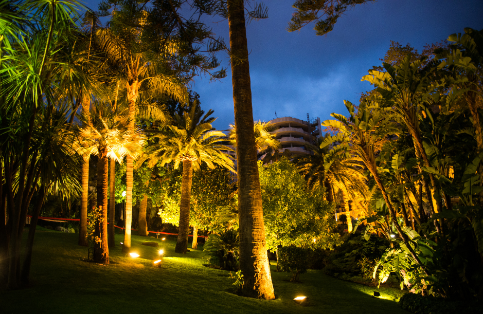 exterior lighting on palm trees